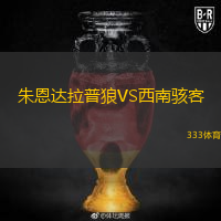 朱恩达拉普狼VS西南骇客