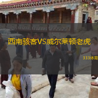 西南骇客VS威尔莱顿老虎