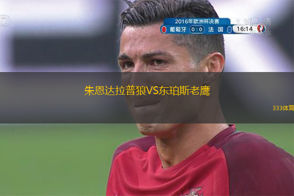 朱恩达拉普狼VS东珀斯老鹰