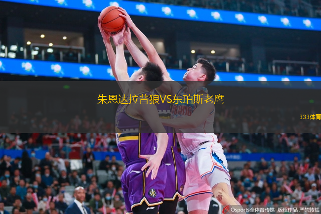 朱恩达拉普狼VS东珀斯老鹰