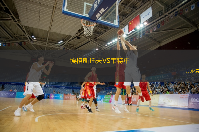 埃格斯托夫VS韦特申